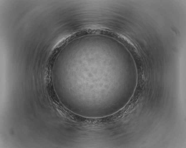 X0000115850775200911131551