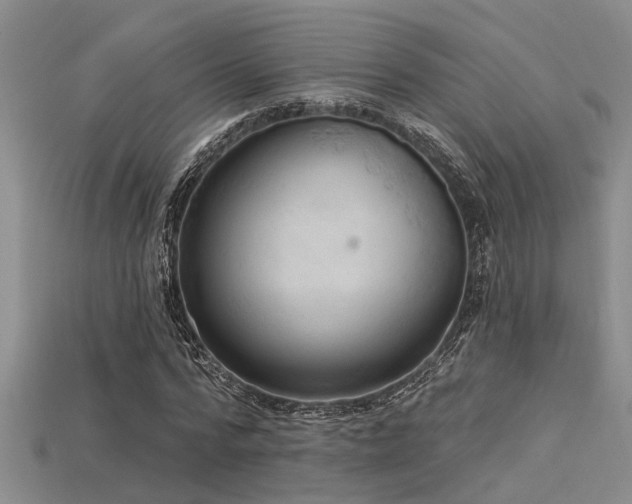 X0000115850776200911131551