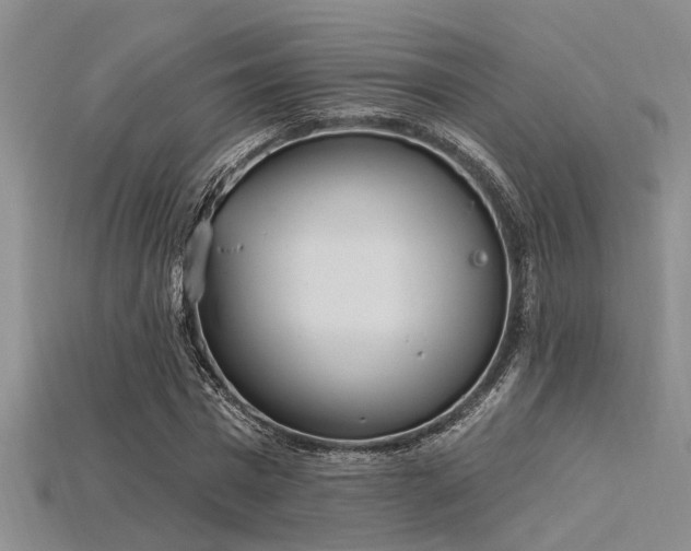 X0000115850777200911131551