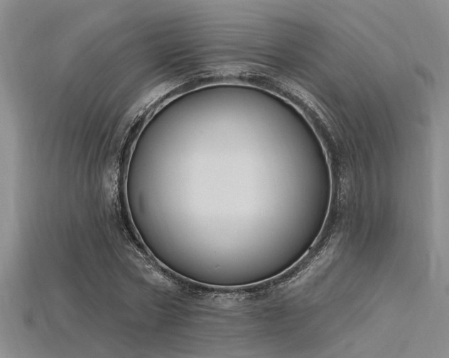 X0000115850778200911131551