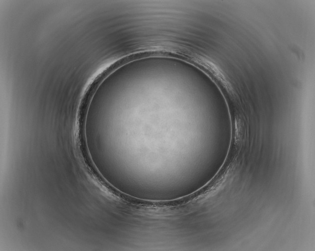 X0000115850780200911131551