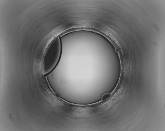 X0000115850781200911131551