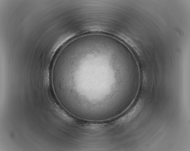 X0000115850782200911131551