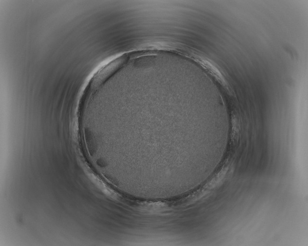 X0000115850784200911131551