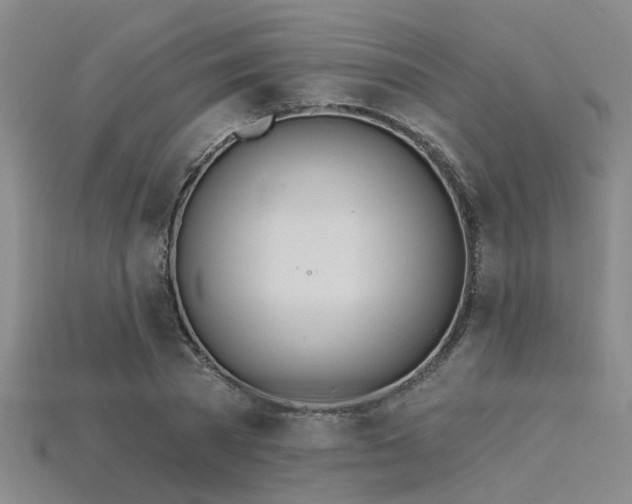 X0000115850785200911131551