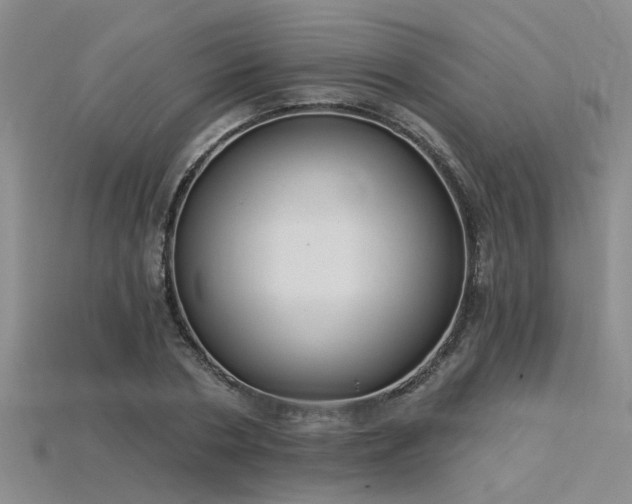 X0000115850786200911131550