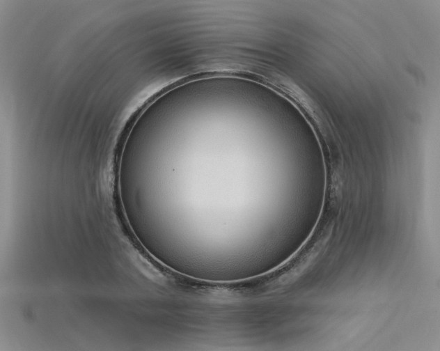 X0000115850787200911131550