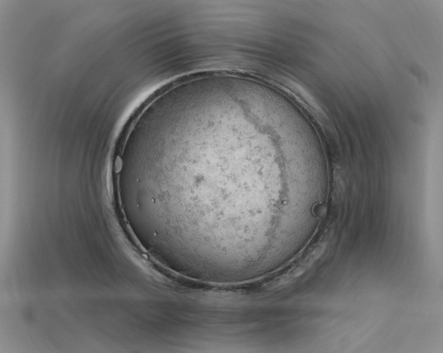 X0000115850788200911131550