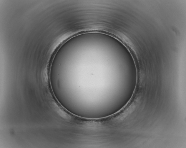 X0000115850789200911131550
