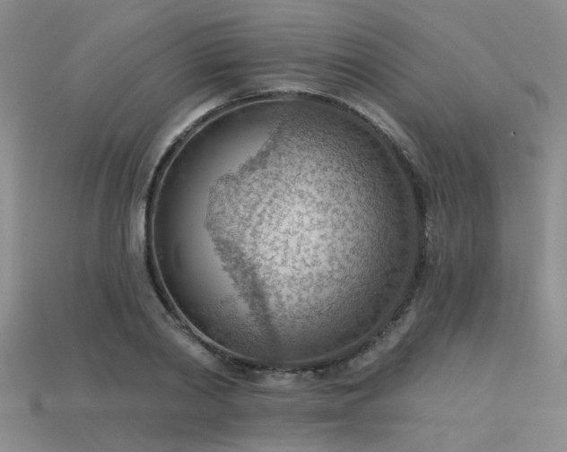 X0000115850790200911131550