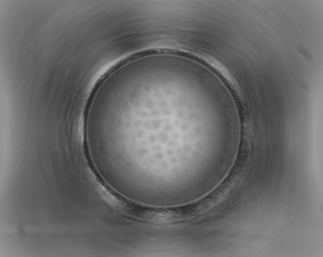 X0000115850791200911131550