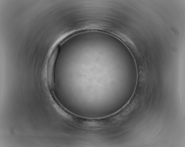 X0000115850792200911131550
