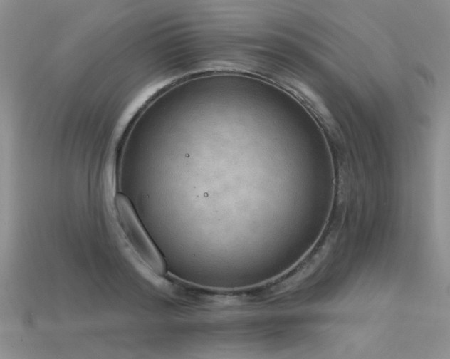 X0000115850796200911131550