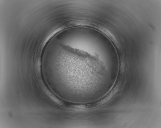 X0000115850798200911131550