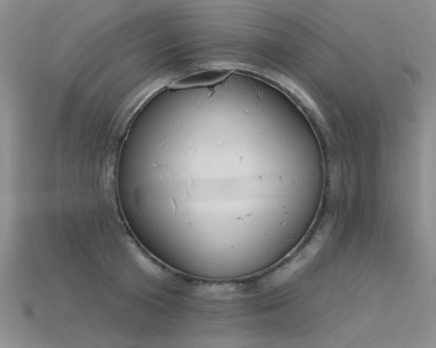 X0000115850801200911131550