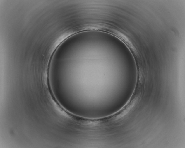 X0000115850802200911131550