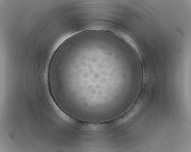 X0000115850803200911131550