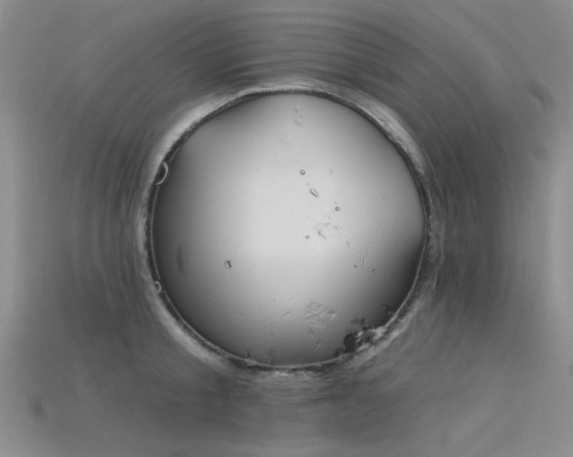X0000115850805200911131550