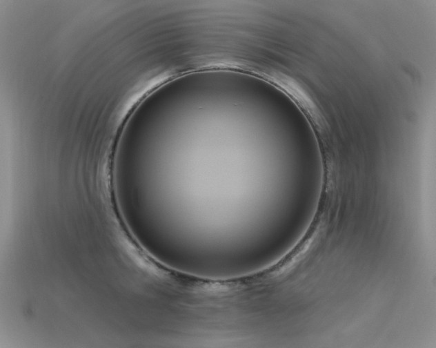 X0000115850806200911131550