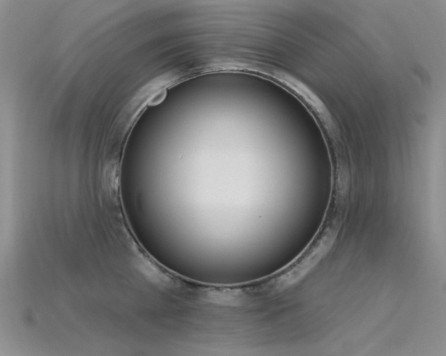 X0000115850809200911131550