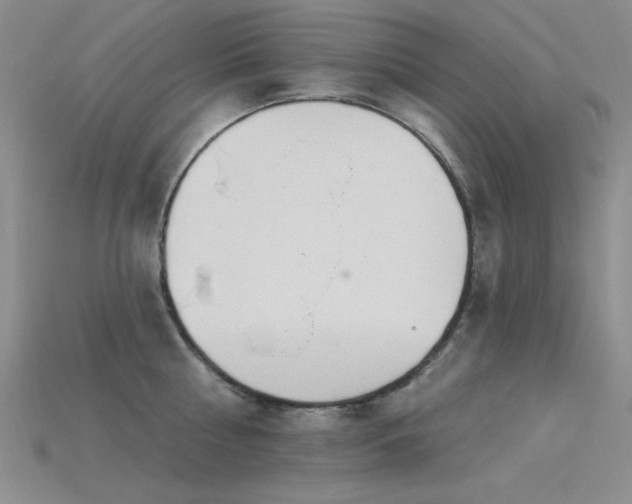 X0000115850810200911131550