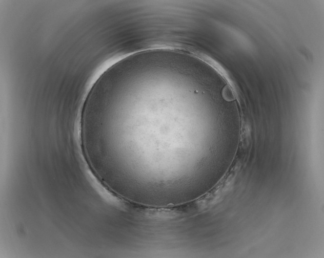 X0000115850811200911131550
