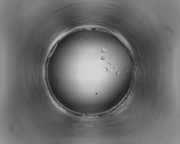 X0000115850813200911131550