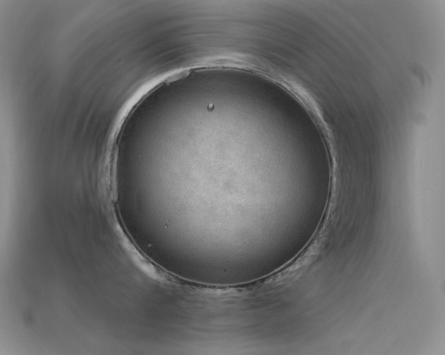 X0000115850816200911131550