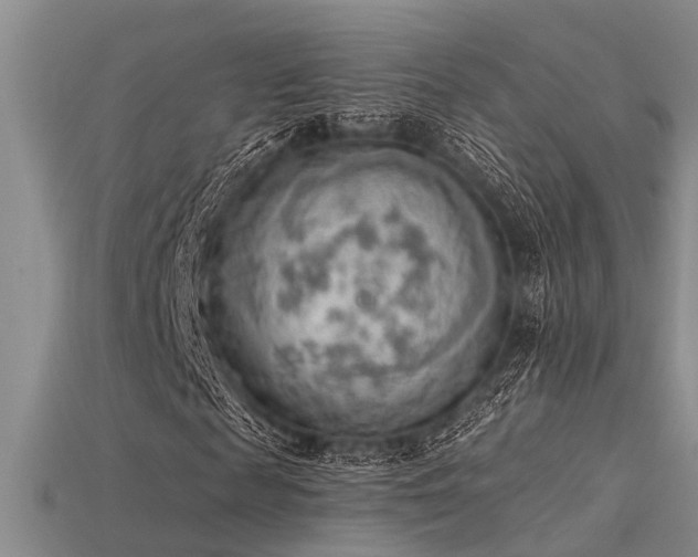 X0000115850817200911131549