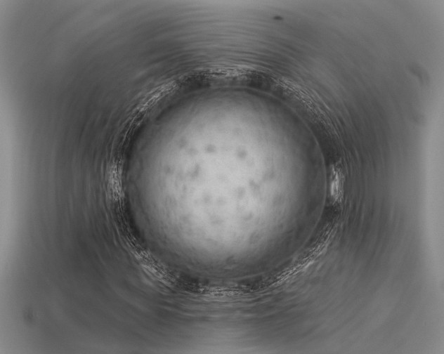 X0000115850819200911131549
