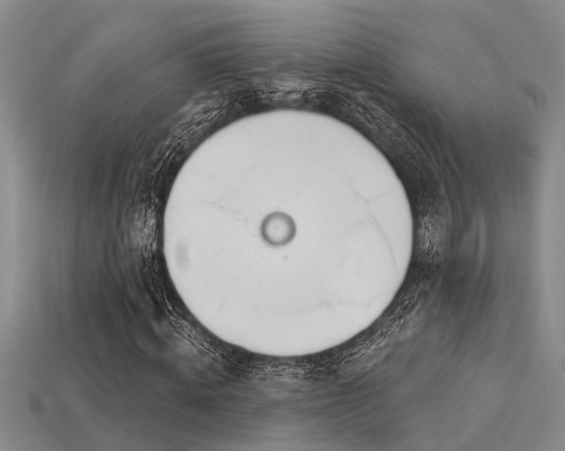 X0000115850820200911131549