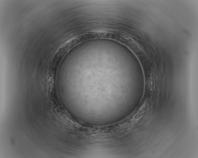 X0000115850821200911131549