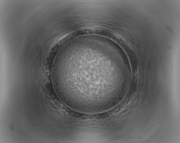 X0000115850822200911131549