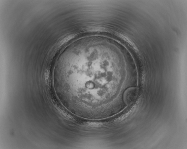 X0000115850825200911131549