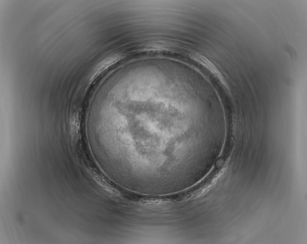 X0000115850826200911131549