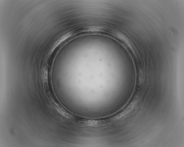 X0000115850827200911131549
