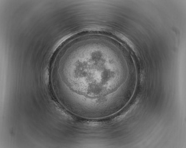 X0000115850829200911131549