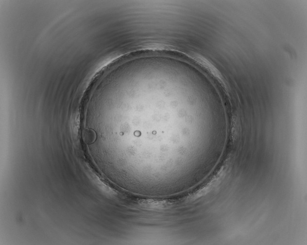 X0000115850831200911131549