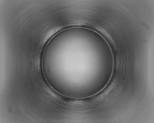 X0000115850834200911131549