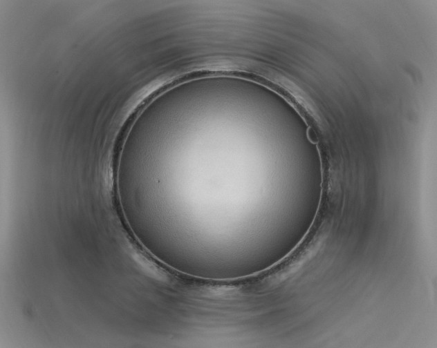 X0000115850837200911131549