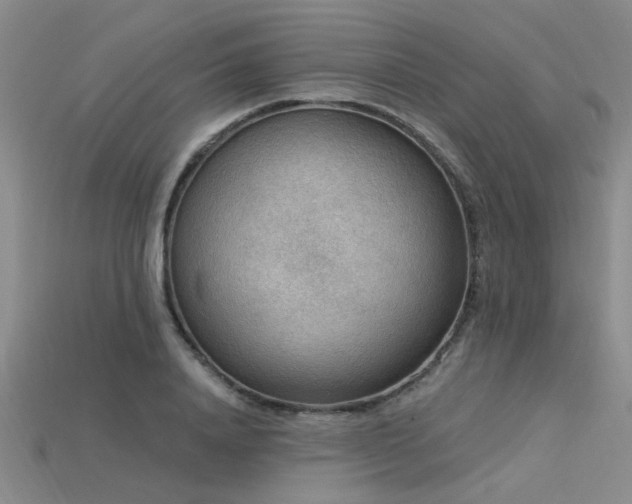 X0000115850840200911131549