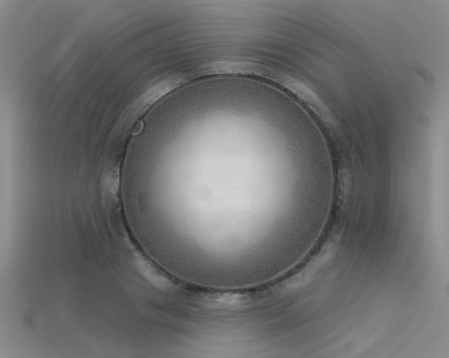 X0000115850841200911131549