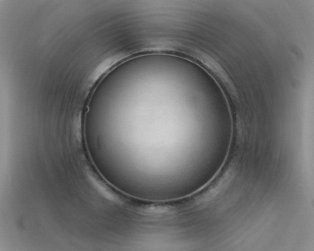 X0000115850842200911131549