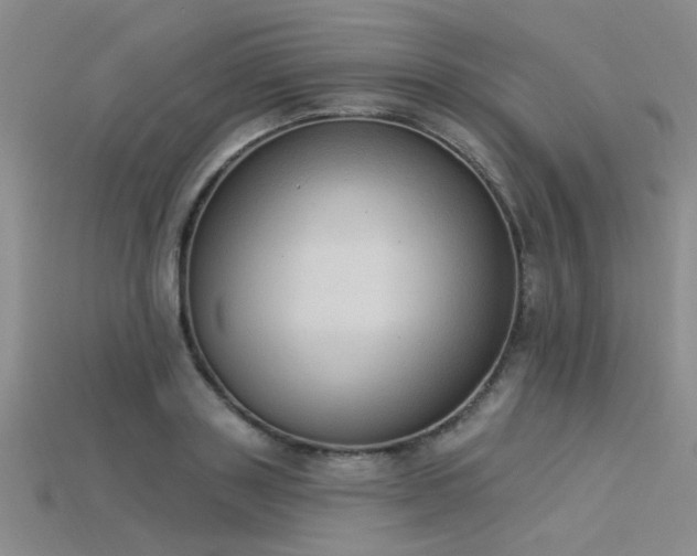 X0000115850843200911131549