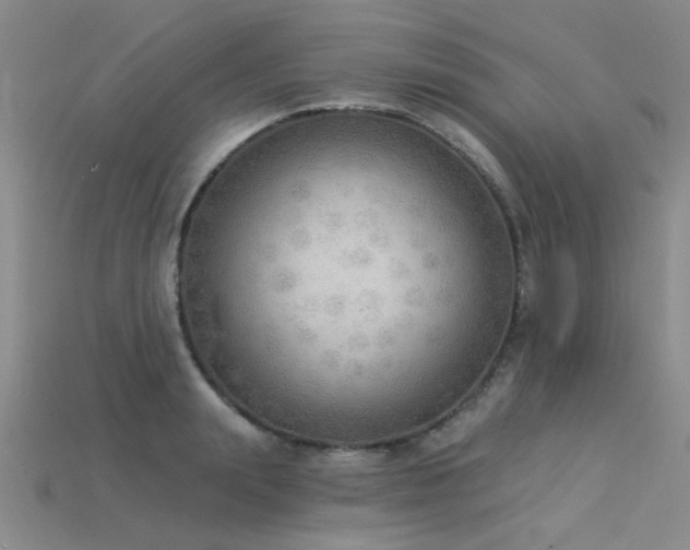 X0000115850847200911131549