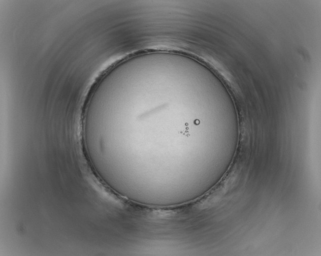 X0000115850848200911131549