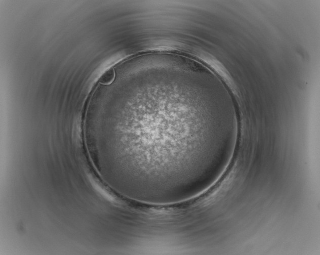 X0000115850850200911131549