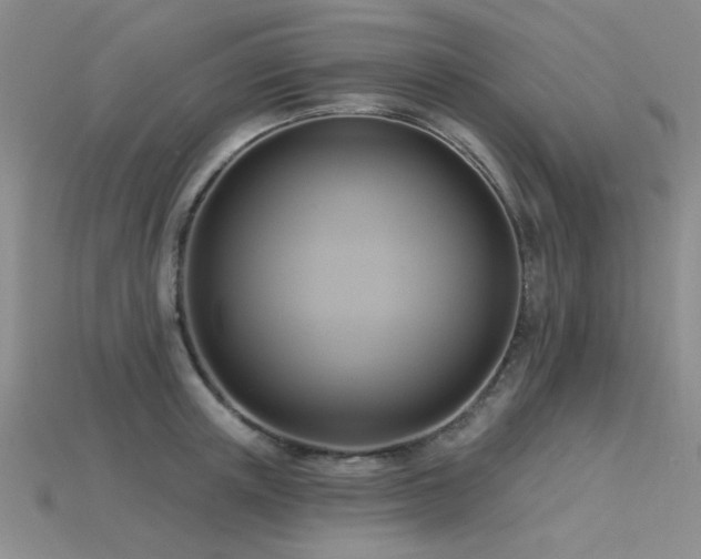 X0000115850851200911131549
