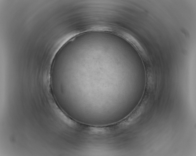 X0000115850852200911131550
