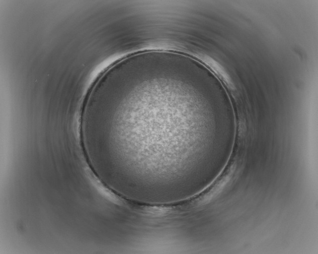 X0000115850854200911131550